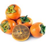 Cennet Hurması Fidanı Aşılı ( Açık Köklü 80-100 cm )