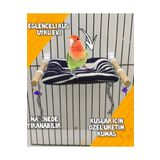 Cennet Papağanı Oyuncaklı Salıncak , Eğlenceli Kuş Salıncağı Siyah Beyaz