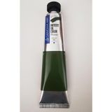 Cenova Art Profesyonel Yağlı Boya 485 Olive Green 200ml