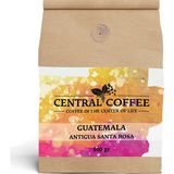 Central Coffee Guatemala Antigua 500 gr Öğütülmüş Filtre