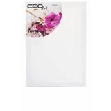 Ceo Art Profesyonel Tuval 35x50 Crn-00011