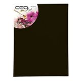 Ceoart Siyah 35x50 cm Tuval