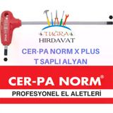Cer-pa Norm 8x175 mm X-Plus T Saplı Allen Anahtar