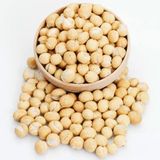 Çerez Pazarı 1 kg Topy Fıstık