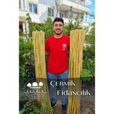 Çermik Fidancılık Bambu Fidan Bitki Destek Çubuğu 10 Adet 2 Metre - 1 Paket