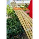 ÇERMİK FİDANCILIK Bambu Fidan Bitki Destek Çubuğu 40 Adet 2 Metre Boy