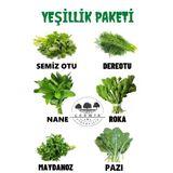 Çermik Fidancılık Tohum Paketi Semizotu Dere Otu Nane Roka Maydanoz Pazı 60 gr