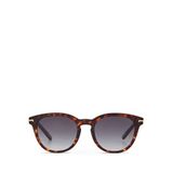 Cerruti 1881 CR 80029 C2 Kahverengi Oval Havana Asetat Erkek Güneş Gözlüğü