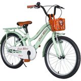 Cesa Bikes Bagajlı Demir Çamurluk 20 Jant Pastel Yeşil Çocuk Bisikleti