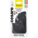 Cesare Kart - Oto Araç Kokusu, Asma Kart Kokusu - Cedar Wood