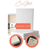 CeSht 5 adet 40x30 CM Astarlı Tuval Yüksek Kaliteli