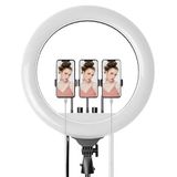 Çeşithane RL-21 21 İnç Ring Light – Tripodlu Profesyonel LED Çekim Işığı, TikTok YouTube Yayın Lambası, Telefon Tutuculu Soft Halka Işık