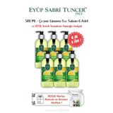 Çeşme Limonu 500 ML 6 AL 5 ÖDE Sıvı Sabun ve ROSIE Hediyeli