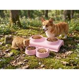 cesoyuncak 2 Adet Büyük ve Küçük Boy Çiftli Kedi Köpek Mama ve Su Kabı, Kedi Köpek Mama Kabı, Yükseltilmiş Eğimli Mama Kabı Su Kabı