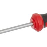 Ceta Form C-Plus Yıldız Uçlu PH2x125 mm Tornavida