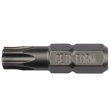 Ceta Form CB/806 T10x25 mm Torx Bits Uç