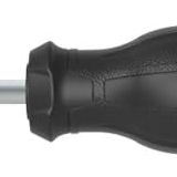 Ceta Form Cetaform F14-002-025 C-Plus Topaç Yıldız Uçlu TORNAVİDA-PH2X25MM