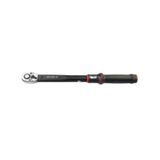 Ceta Form D02f2-1110 20-100Nm 3/8 Exacto Tork Anahtarı