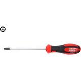 Ceta Form F19-040-130 C-Plus Delikli Torx Uçlu Tornavida