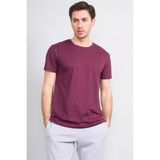 Çetinkaya Mentality 2772 Bisiklet Yaka Slimfit Basic T-Shirt Mürdüm - XL