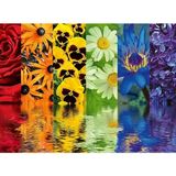 CetKing 164462 500 Parça Puzzle Çiçek Yansıma, Çok Renkli