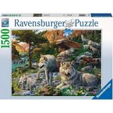 CetKing 165988 Kurtlar Yetişkin Puzzle, 1500 Parça