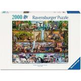 CetKing - 2000 Parça Puzzle Wild Animals (166527)