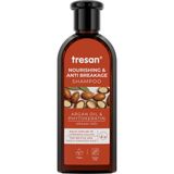 CetKing Argan Yağlı Şampuan Yıpranmış Saçlar Için 300 ml