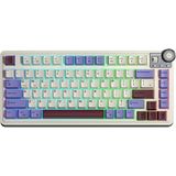 CetKing AU75 3 Modlu Rgb Hot Swap Mekanik Tkl Seiya Switch Kablosuz Makrolu Klavye Bej