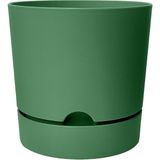 CetKing Begonya Saksı Tabaklı Drenajlı Mat Plastik Çiçek Saksısı (Yeşil, 3.3 Litre)