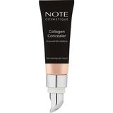 CetKing Cosmetics Collagen Concealer 01 Kolajen Içerikli Spf 20 Göz Altı Kapatıcısı
