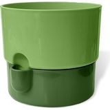 CetKing Dora Saksı Tabaklı Çiçek Kaktüs Saksısı Parlak Plastik Saksı (Yeşil, 2 Litre)