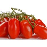 CetKing Dünyam 20 Adet Patio San Marzano Domates Tohumu