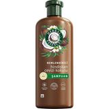 CetKing Essences Nemlendirici Hindistan Cevizi Kokulu Şampuan 350ML