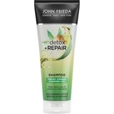 CetKing Frieda Detox & Repair Şampuan 250 ml