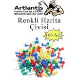 CetKing Harita Çivisi 100'LÜ 1 Paket Mantar Pano Raptiyesi Pano Iğnesi Ofis Okul Büro