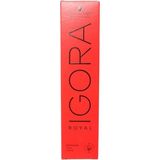 CetKing Igora Royal Saç Boyası 60ML-NO - 6.1 Küllü Koyu Kumral