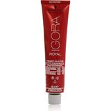 CetKing Igora Royal Saç Boyası 60ML-NO - 8.0 Açık Kumral