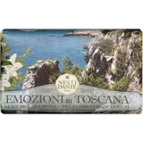 CetKing In Toscana Katı Sabun 250 gr (Mediterranean Touc)