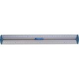 CetKing Ofis ve Kırtasiye 120130 Çift Desimetre Cetvel, 30 cm