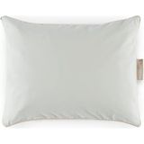 CetKing Pamuk Penye Sıvı Geçirmez Yastık Alezi 35 x 45 (2'li Pa Ket), Çok Renkli, Std