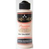 CetKing Premium Akrilik Boya Ten Rengi 120ML N:908
