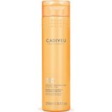 CetKing Professıonal Nutri Glow Sülfatsız Şampuan, 250ML
