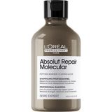 CetKing Professionnel Paris Serie Expert Absolut Repair Molecular Tüm Yıpranmış Saçlar Için Arındırıcı Şampuan 300ML