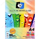 CetKing Schoeller A.FTK.KGT.450.01 A4 100'LÜ Fotokopi Kağıdı Karışık Renkli - 779