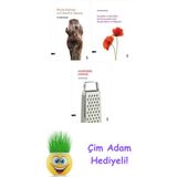 Cevdet Karal 3 Kitap Seti + Çim Adam Hediye - Hayır