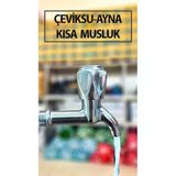 Çevik Su (Ayna Model) Musluk Kısa Tip