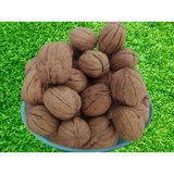 Ceviz 17332 Bahçemizded Ince Kabuk Kolayca Kırılır Chandler Doğal Üretim 2 Kg