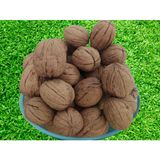Ceviz 17333 Bahçemizden İnce Kabuklu Kolayca kırılır Chandler Doğal Üretim 3kg