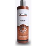 Ceylinn Silk Protein 300 ml Şampuan